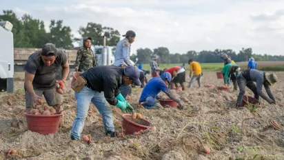 Persone che lavorano al raccolto in un campo